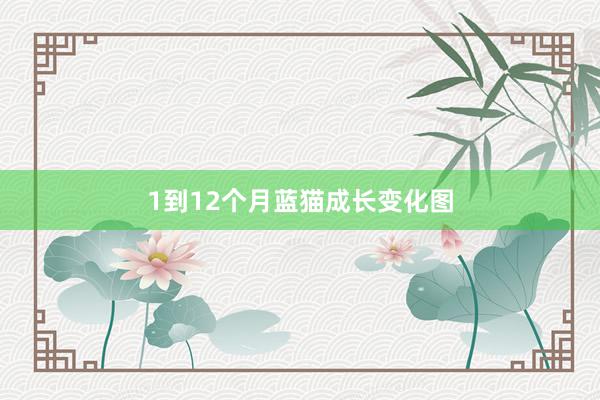 1到12个月蓝猫成长变化图