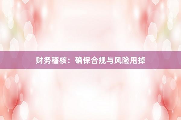 财务稽核：确保合规与风险甩掉