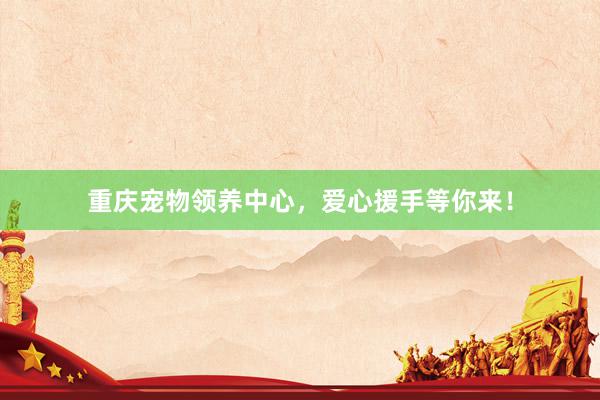重庆宠物领养中心，爱心援手等你来！